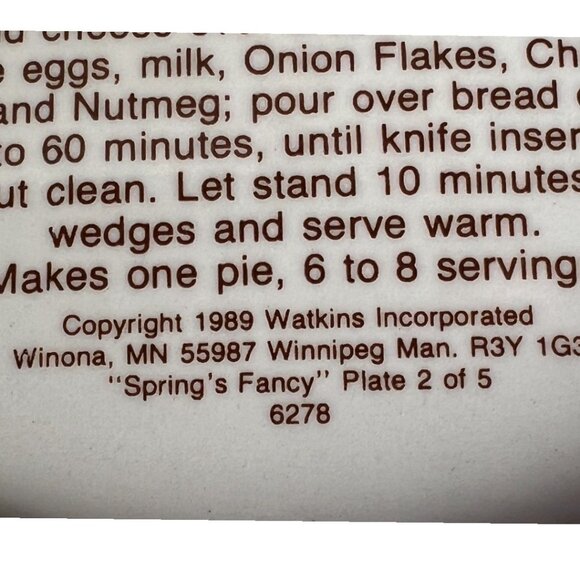 Vtg 1989 WATKINS Country Kids "Springs Fancy" Ceramic Recipe Pie Plate 10.75" D - Picture 16 of 16
